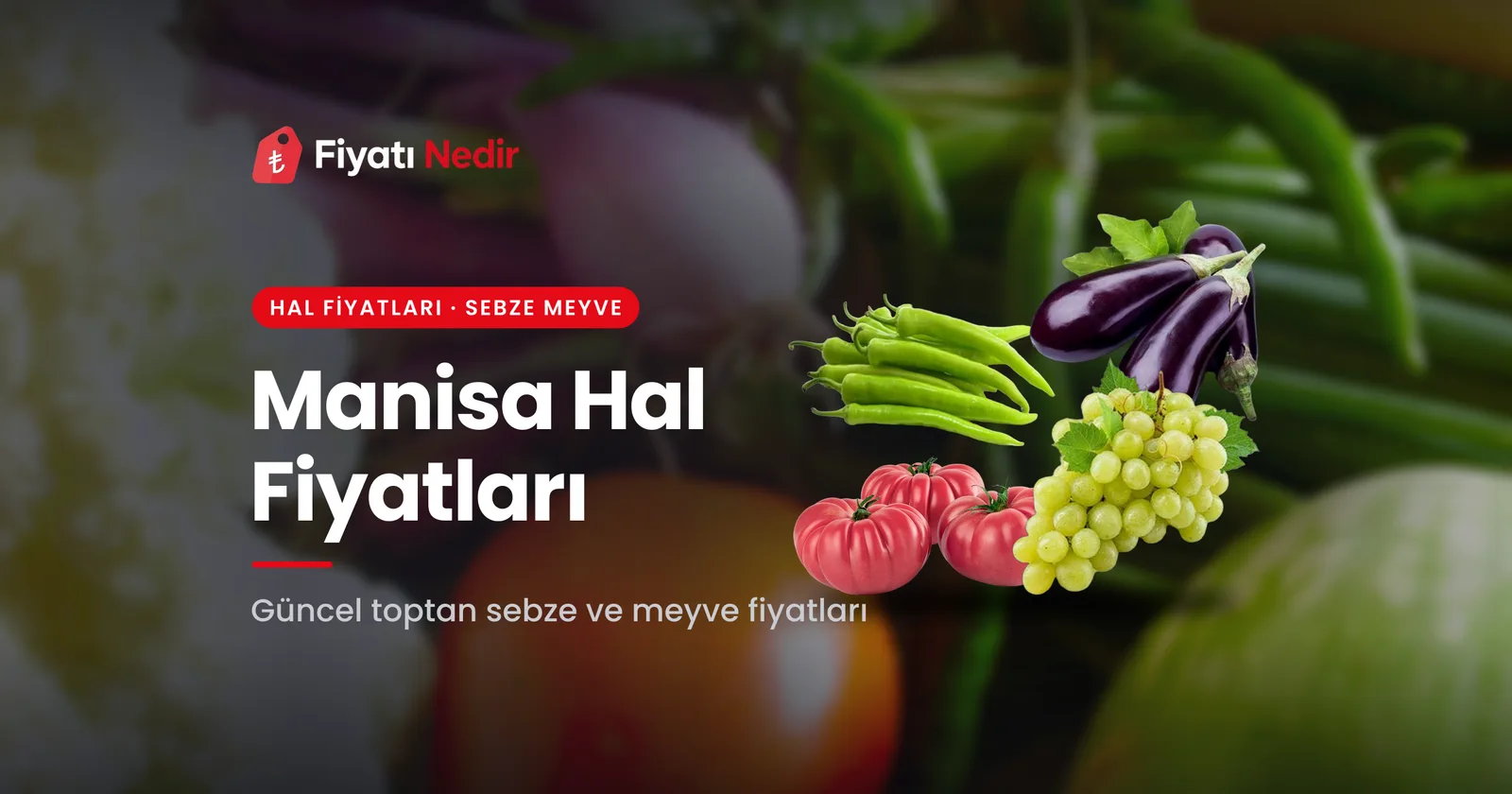 Manisa Hal Fiyatları