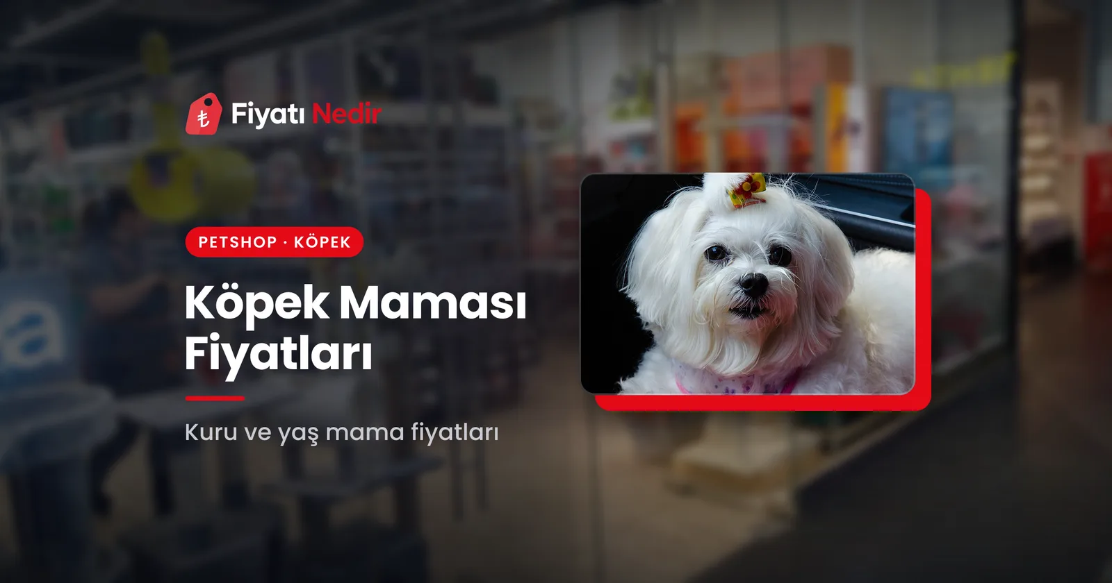 Köpek Maması Fiyatları