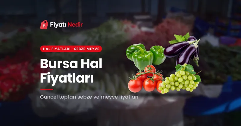 Bursa Hal Fiyatları