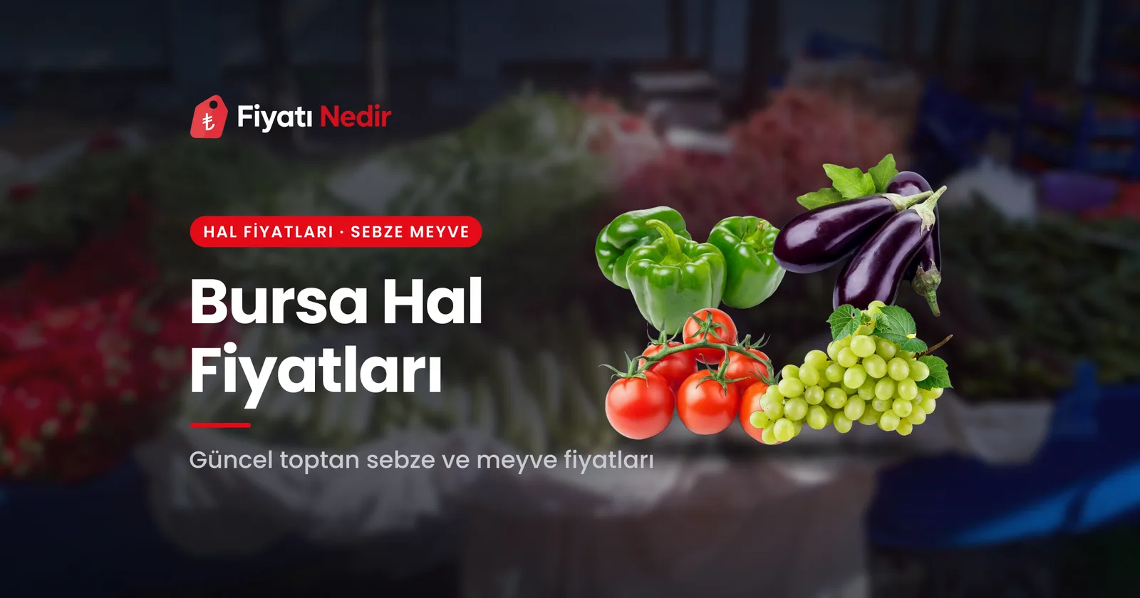 Bursa Hal Fiyatları