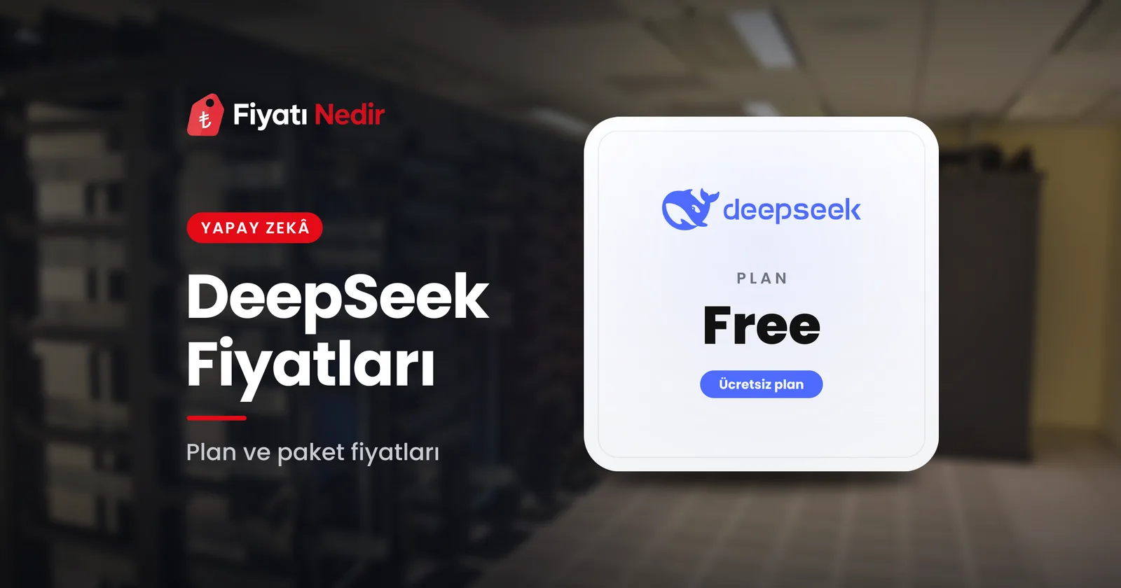 DeepSeek fiyatları
