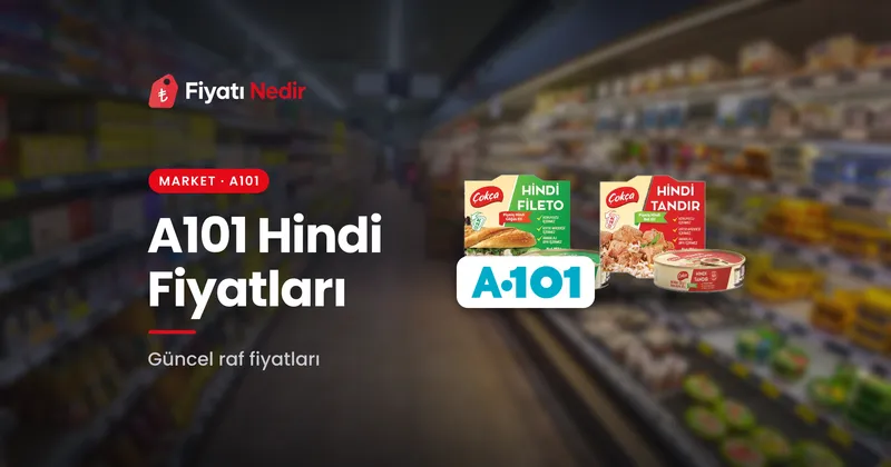 A101 Hindi Fiyatları
