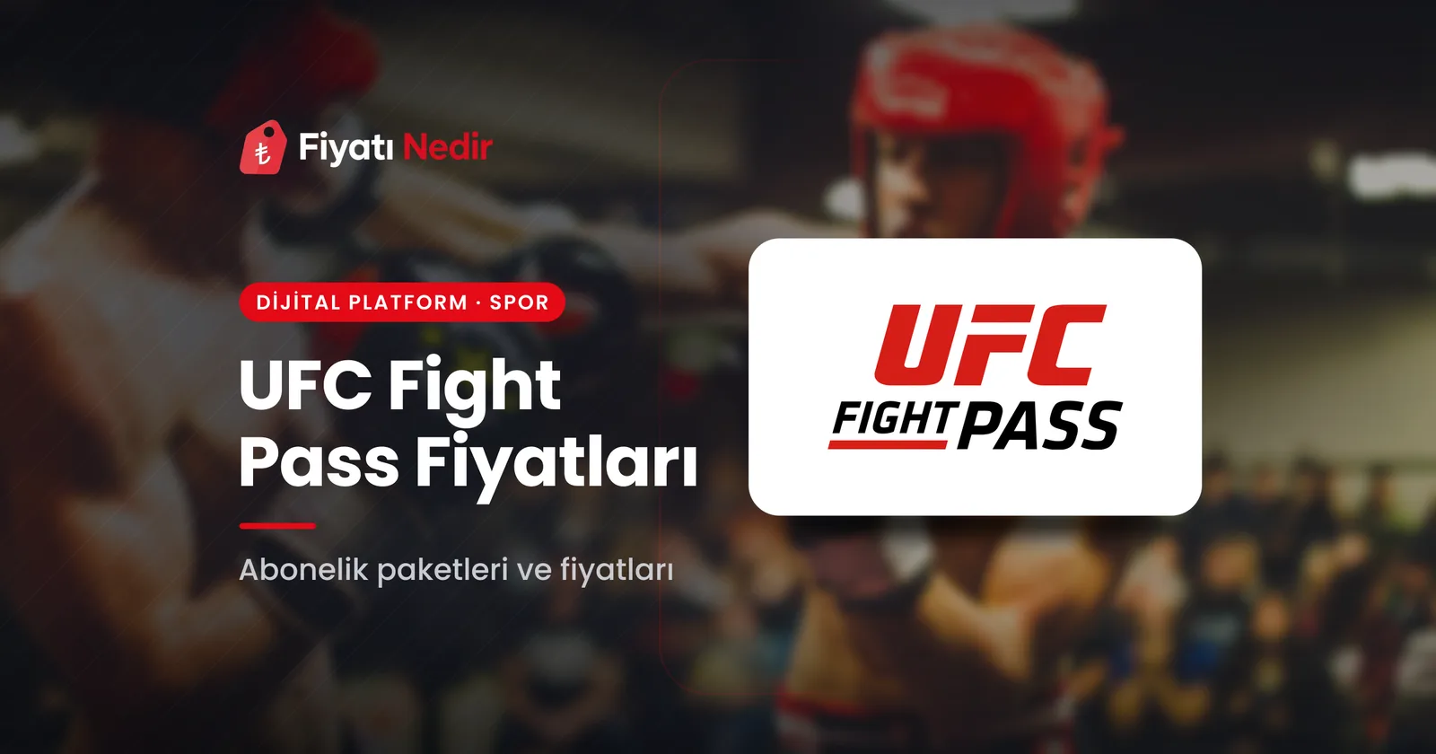 UFC Fight Pass Fiyatları