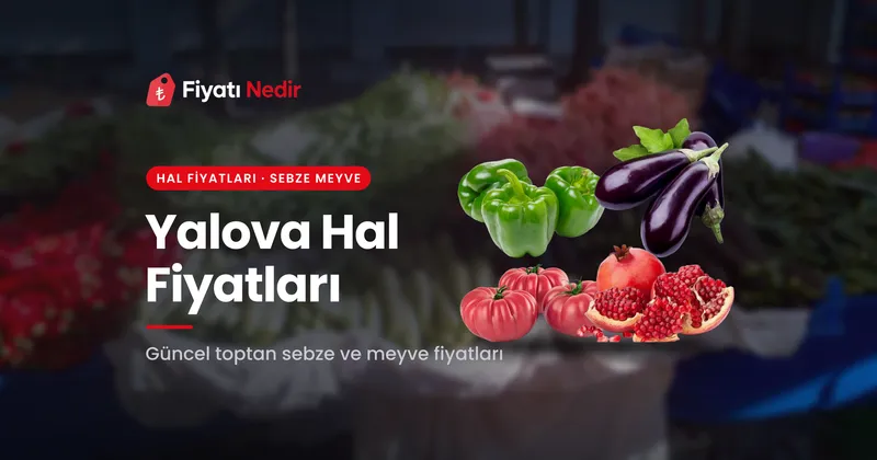 Yalova Hal Fiyatları