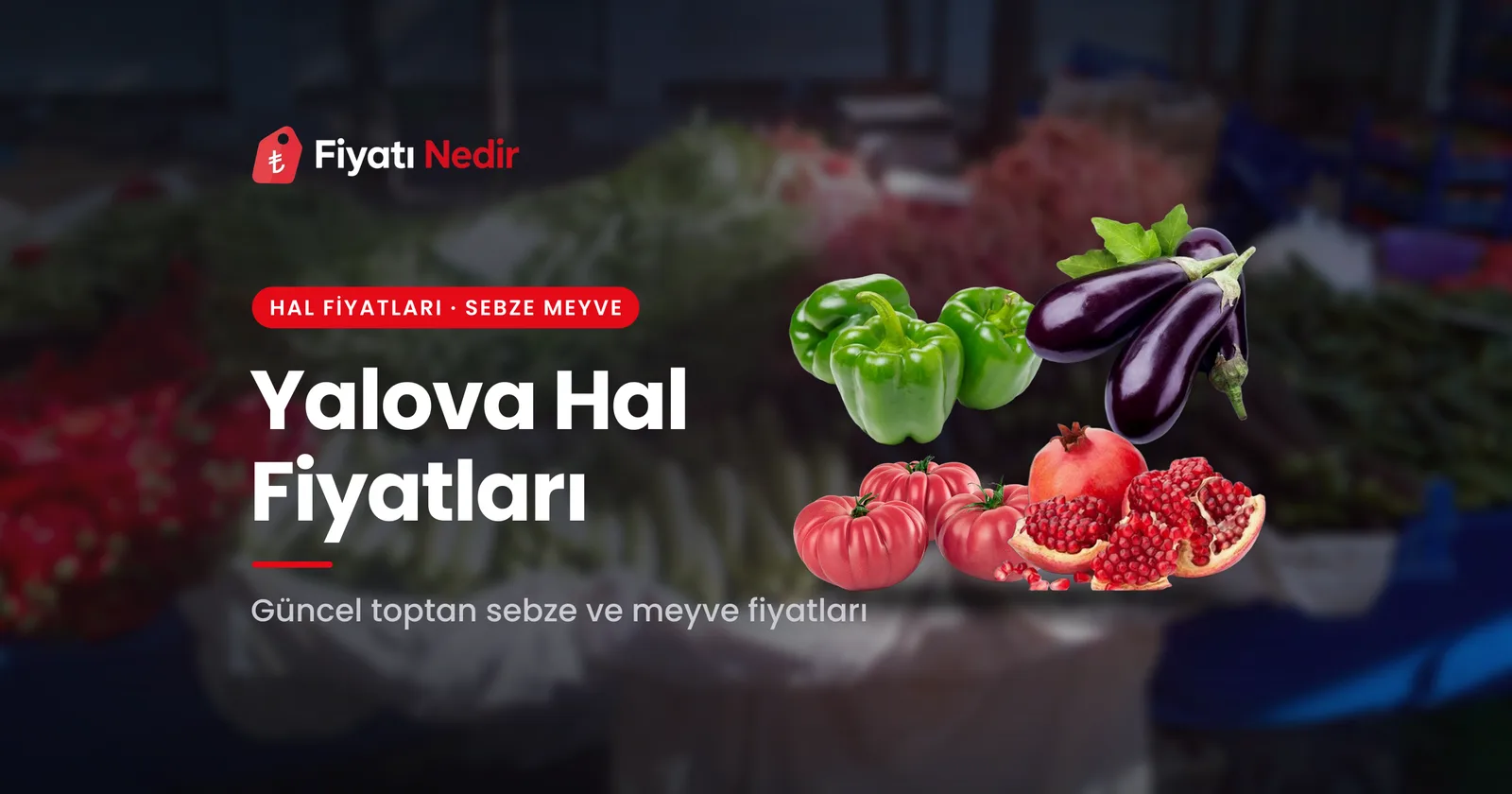 Yalova Hal Fiyatları
