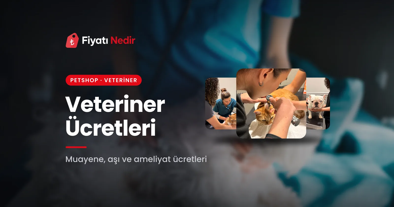Veteriner ücretleri