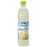 Adelholzener Bleib in Form Grapefruit 0,5l