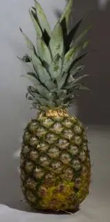 Ananas İthal-Adet 1 kg