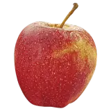 Apfel Gala rot ca. 250g