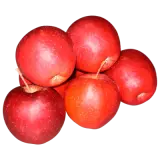 Apfel rot 1kg