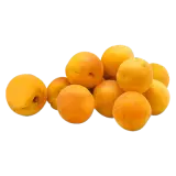 Aprikose groß ca. 100g