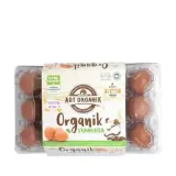 Artorganik Yumurta 15 Adet