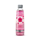 Avoya Blend Hibiskus Meyveli Maden Suyu 1 Adet