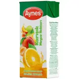 Aynes Karışık Nektarı 200 ml