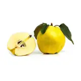 Ayva Gurme 1 kg