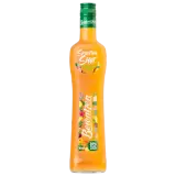Berentzen Smoothie Shot Tropical Fruit 0,5l