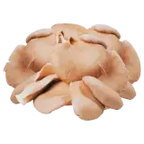 Bio Austernpilze 200g
