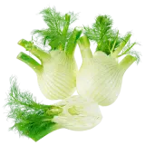 Bio Fenchel ca. 320g