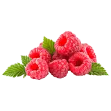 Bio Himbeeren 125g