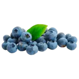 Bio Kulturheidelbeeren 175g