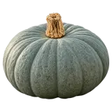 Bio Kürbis Sombra ca. 1kg