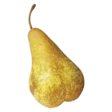 Birne Abate Fetel ca. 225g