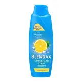 Blendax Kepeğe Karşı Şampuan 500 ml