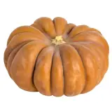 Bütün Kırmızı Kabak 1 kg