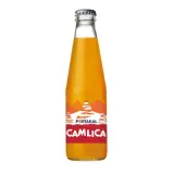 Çamlıca Portakal 200 ml