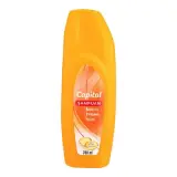 Capitol Işıldayan Saçlar Şampuan 700 ml