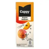Cappy Kayısı Nektarı 200 ml