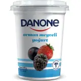 Danone Orman Meyveli Yoğurt 400 g