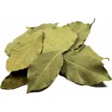 Defne Yaprağı 20 g