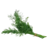 Dill 100g