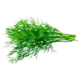 Dill 25g