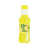 Doğanay Limonata 300 ml