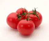 Yuvarlak Domates 1 kg