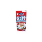 Dost Çilek Aromalı Süt 1,5 L