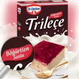 Dr. Oetker Böğürtlen Soslu Trileçe 315 g