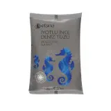 Efsina İyotlu Deniz Tuzu Poşet 750 g