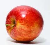 Elma Diğer 1 kg