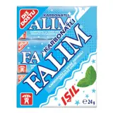 Falım Işıl Karbonatlı 3'lü 24 g