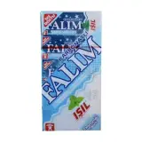 Falım Işıl Nane Sakız 40 g