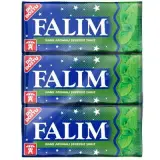 Falım Şekersiz Damla Sakızlı Nane Aromalı Sakız 21 g