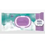 Family Islak Havlu 100 Adet