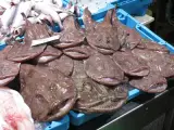 Fener Deniz 1 kg