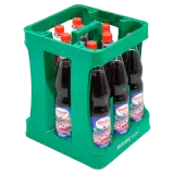 Förstina-Sprudel Schorle Waldfrucht 12x0,75l