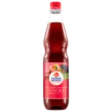 Franken Brunnen Apfel-Kirsch-Holunder-Schorle 0,75l