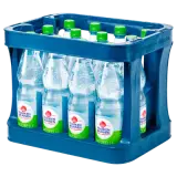 Franken Brunnen Naturelle 12x1l