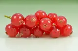 Frenk Üzümü 1 kg